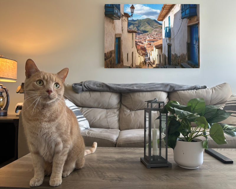 San Blas Cobblestone Street — Cusco, Peru, view 2
