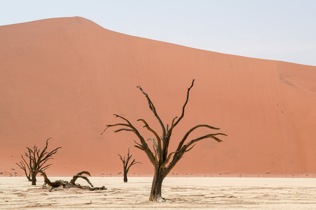 Sossusvlei, Namibia study No. 03