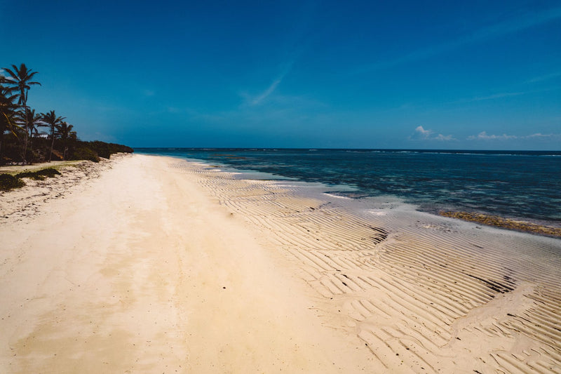 Diani Beach, Kenya visual study 02