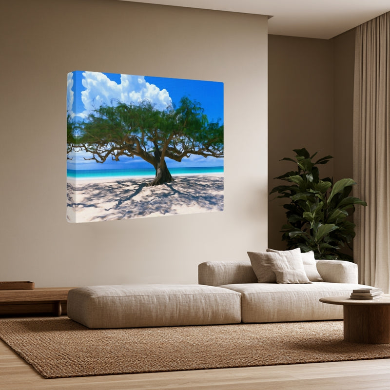Diani Beach Divi Divi Tree — Diani Beach, Kenya, view 3
