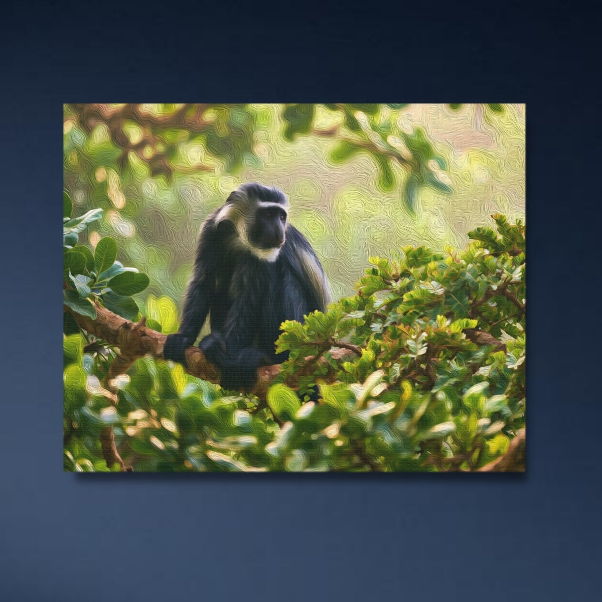 Colobus Monkey Forest Canopy — Diani Beach, Kenya, study 4