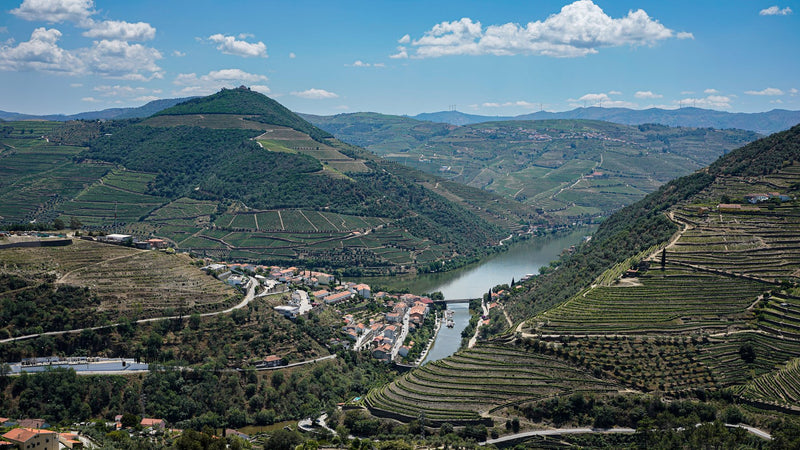 Douro Valley, Portugal visual study 01