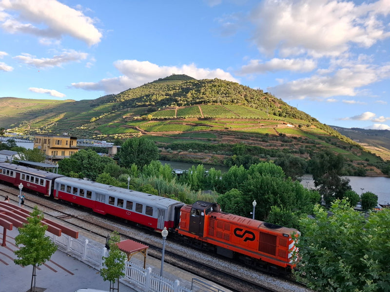 Douro Valley, Portugal visual study 02