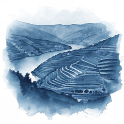 Douro Valley canvas wall art