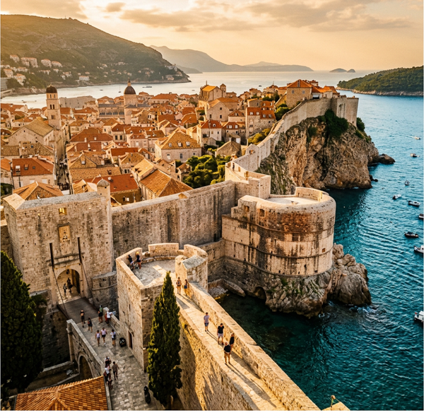 Botanical and pigment specimen study for Dubrovnik City Walls, Croatia