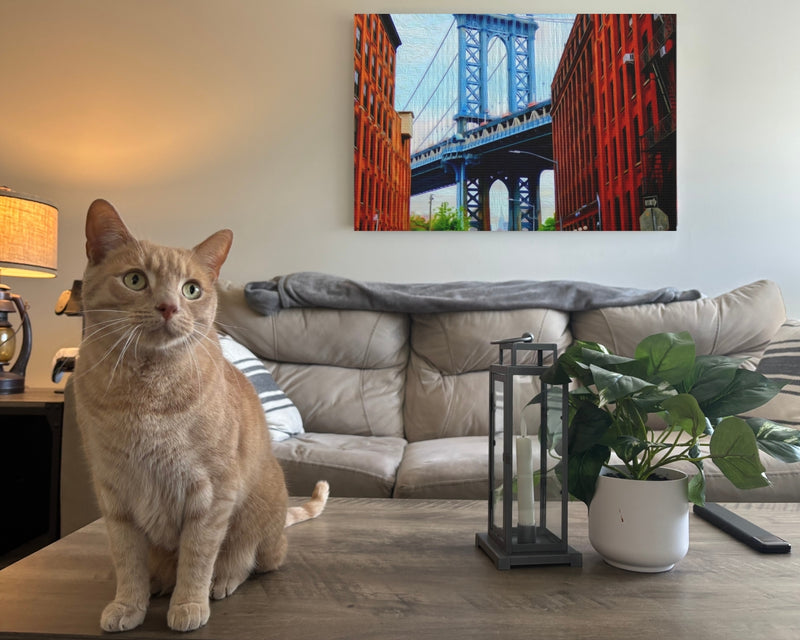 Manhattan Bridge DUMBO View — DUMBO, Brooklyn, view 2