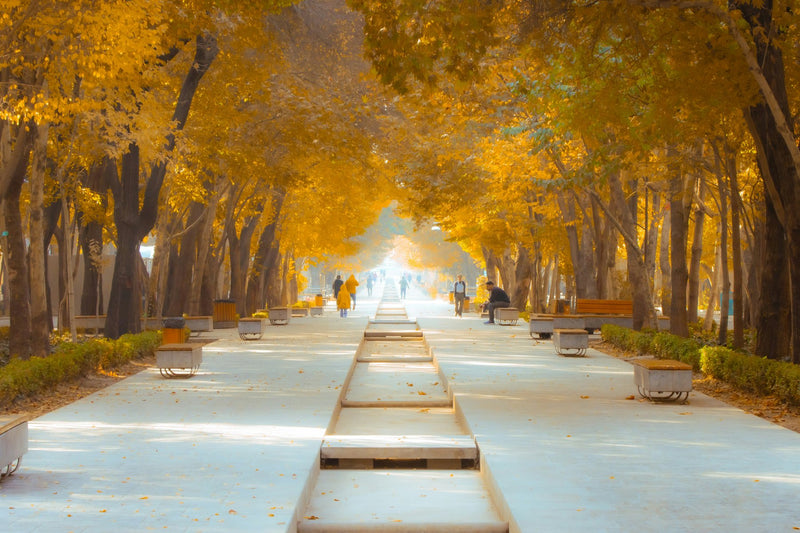 Isfahan, Iran study No. 03