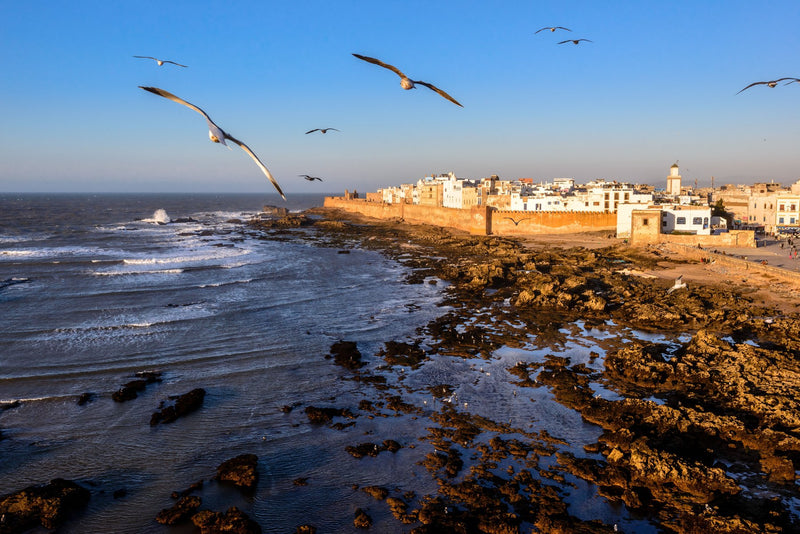Essaouira, Morocco visual study 03