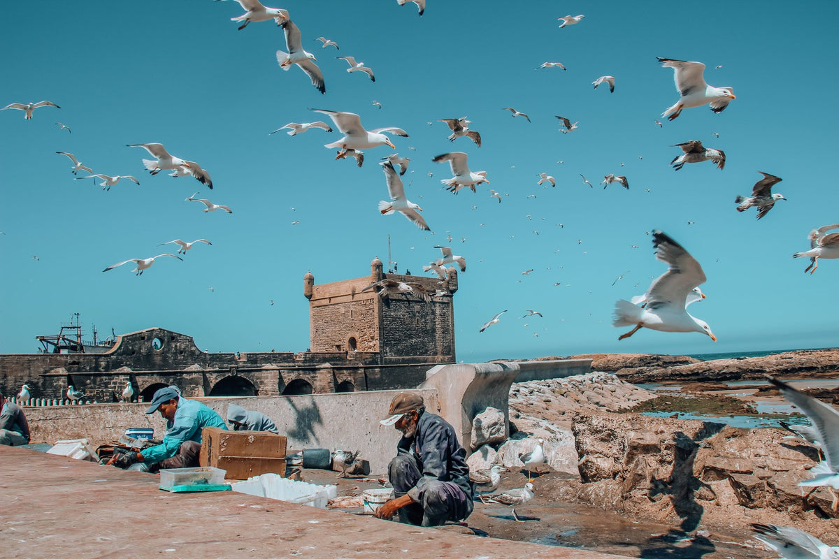 Archival study of Darija (Moroccan Arabic) cultural texture