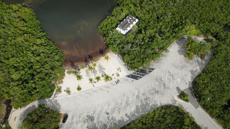 Everglades National Park, Florida visual study 01