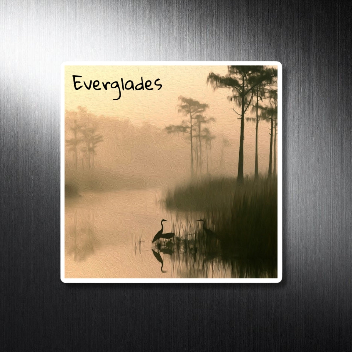 Misty Swamp Heron Dawn — Everglades National Park, Florida, study 1