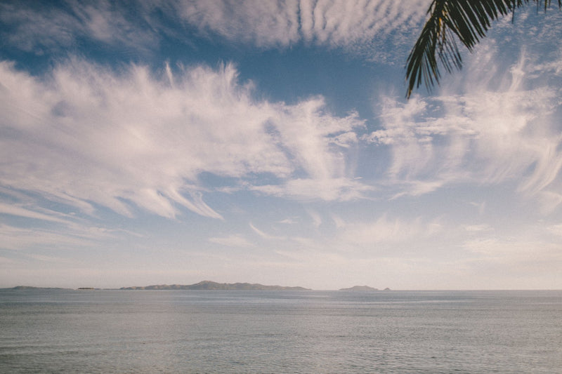 Fiji Islands, Fiji study No. 01