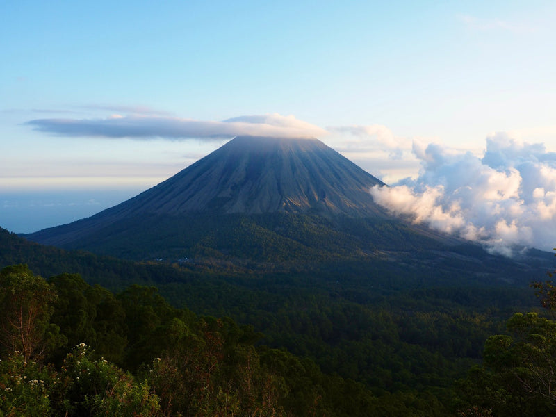 Flores, Indonesia visual study 01
