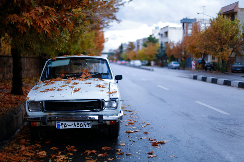 Shiraz, Iran visual study 01