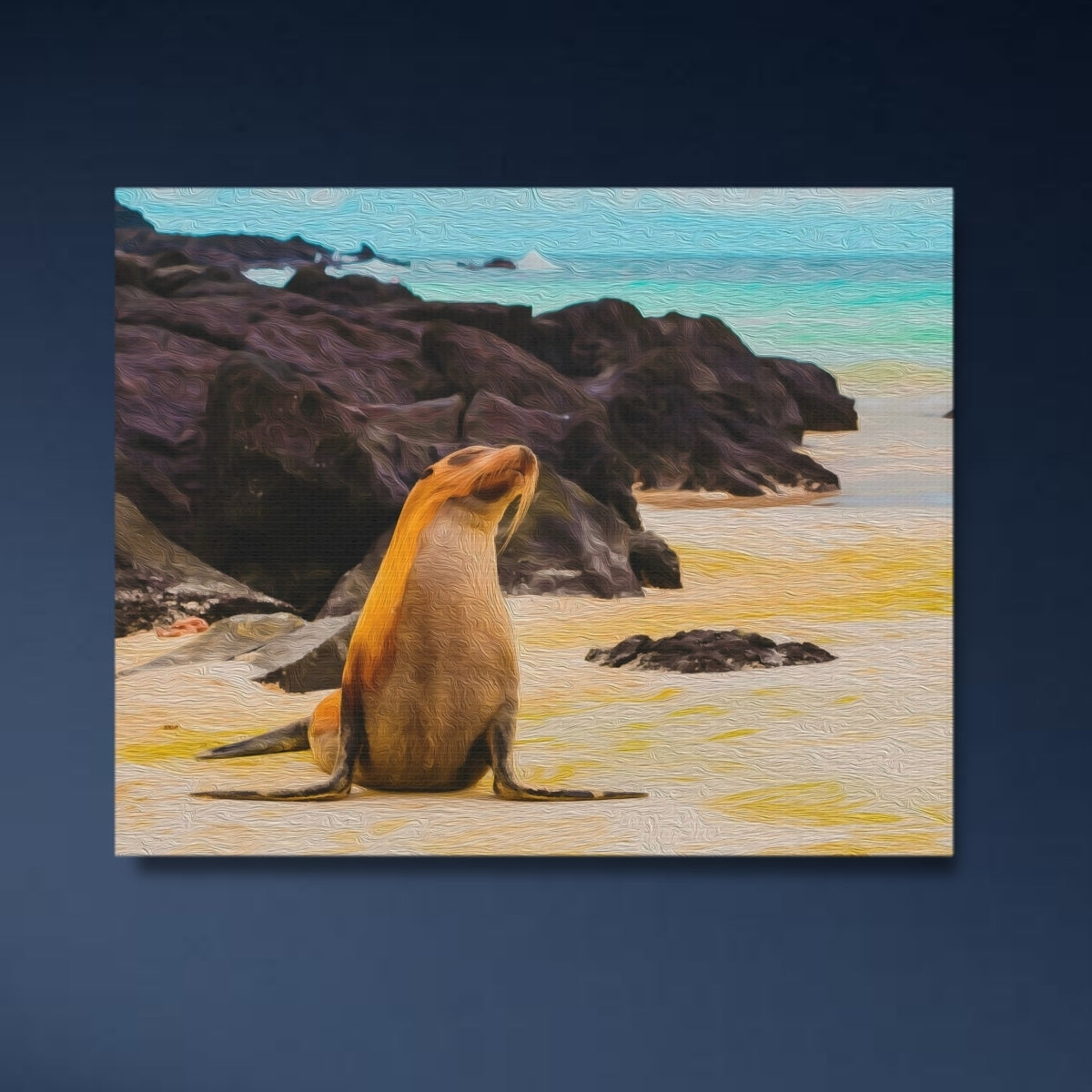 Galapagos Islands, Ecuador Study No. 4