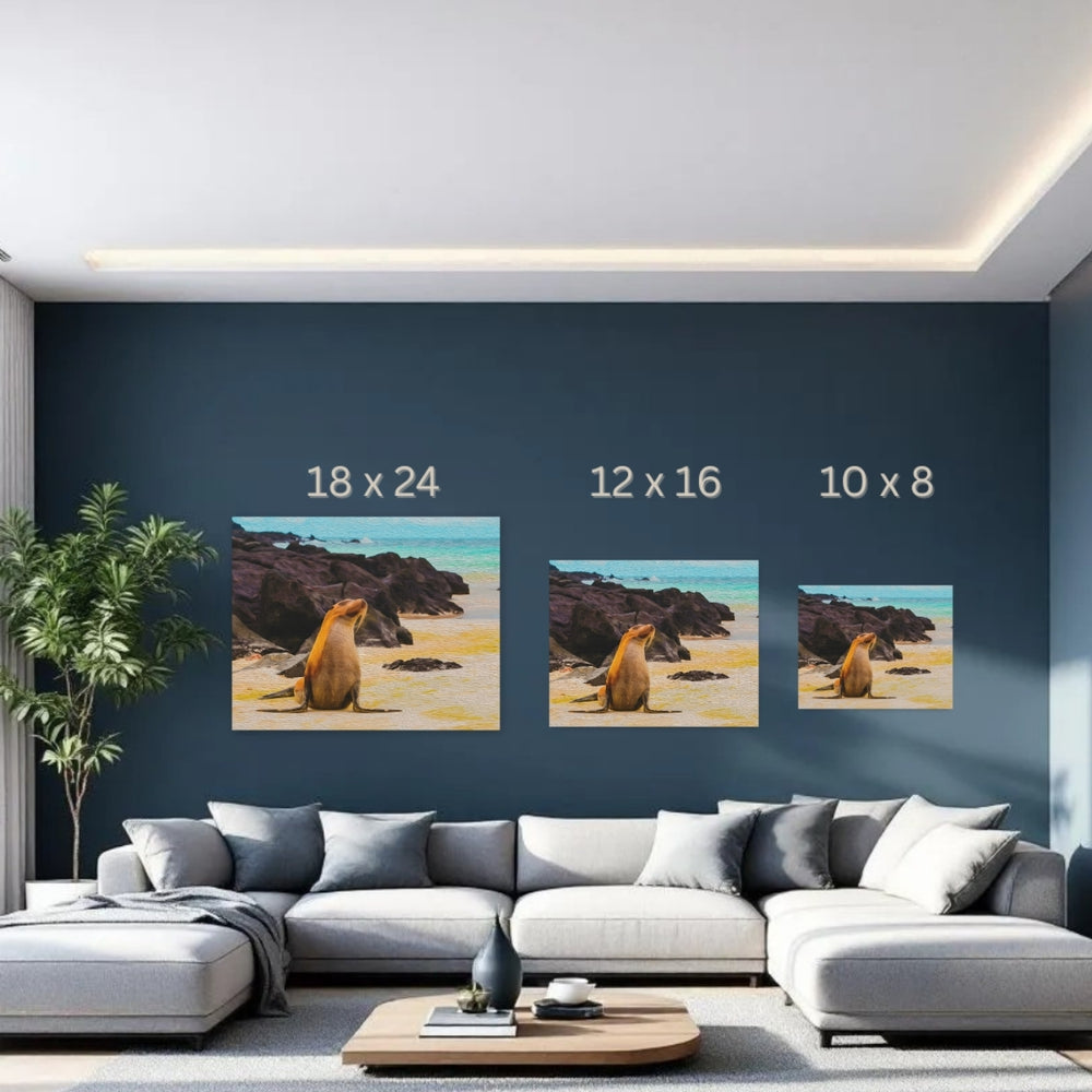 Galapagos Islands, Ecuador | Sea Lion Sandy Shore | Original Series Gallery Canvas detail