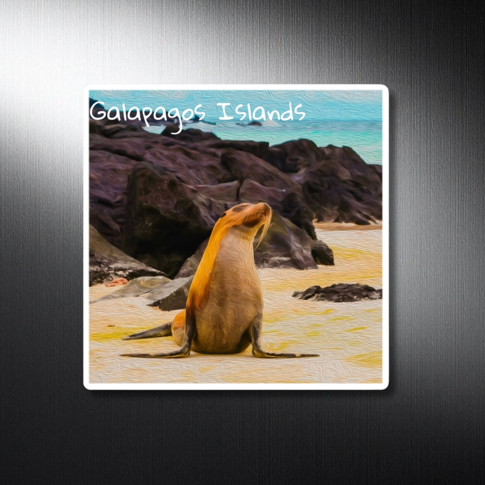 Galapagos Islands, Ecuador | Sea Lion Sandy Shore | Original Series Decorative Magnet