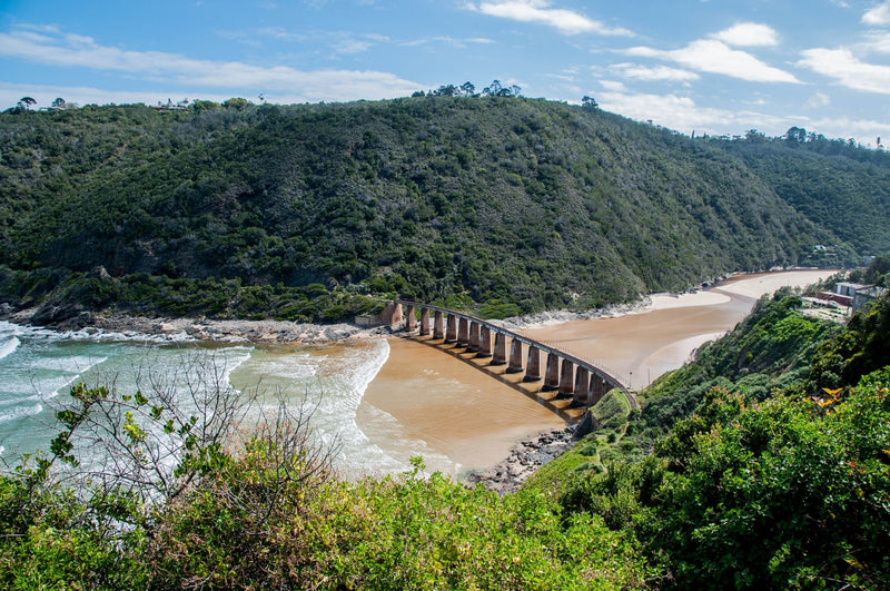 Garden Route, South Africa visual study 01