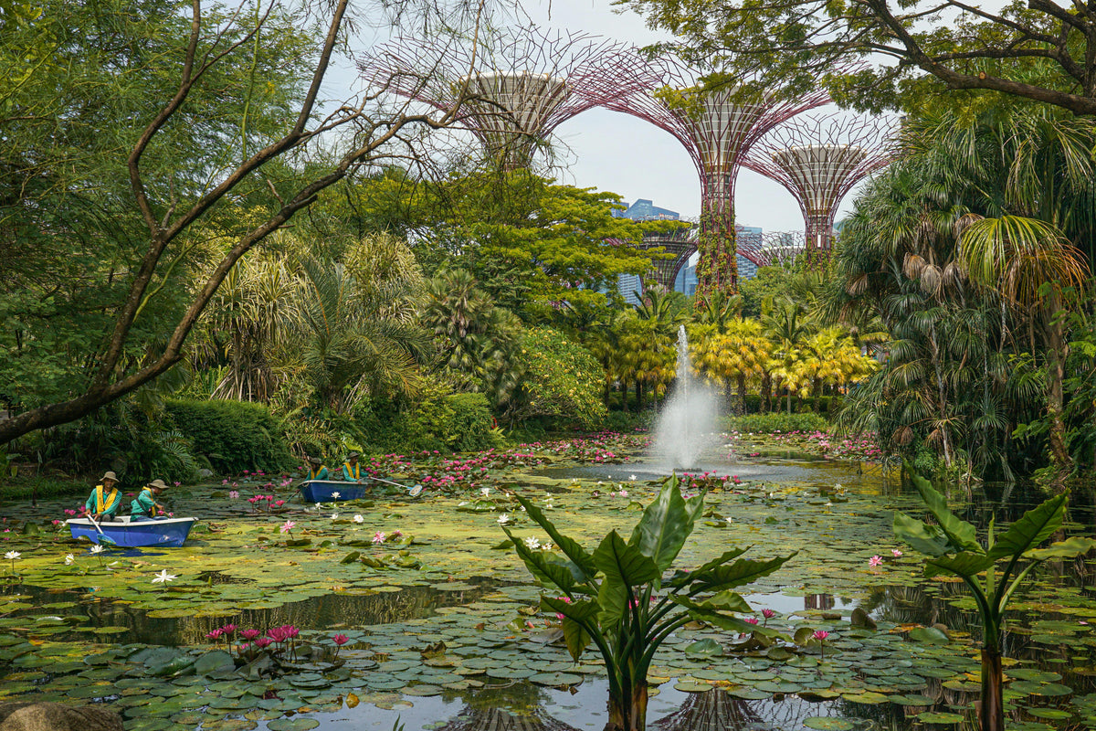 Gardens by the Bay, Singapore study No. 02