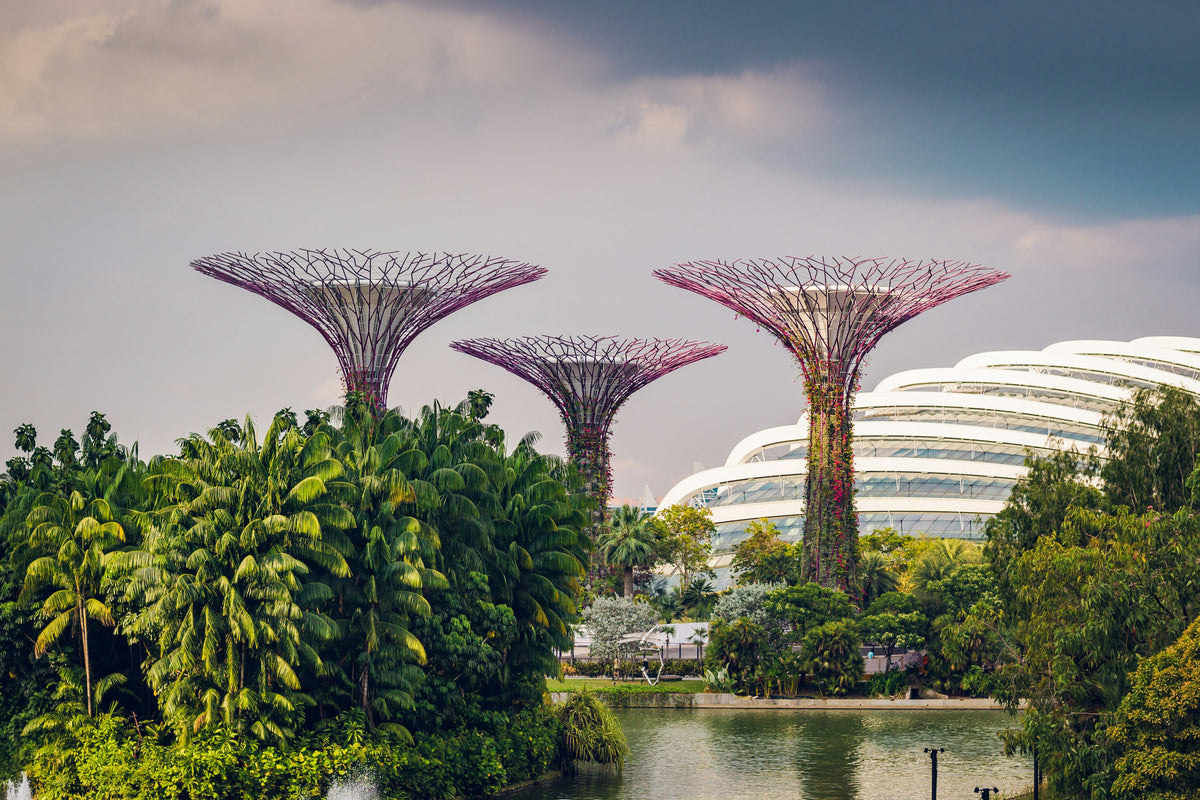 Gardens by the Bay, Singapore study No. 01