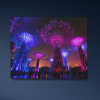 Supertree Grove Night Illumination — study 4 thumbnail
