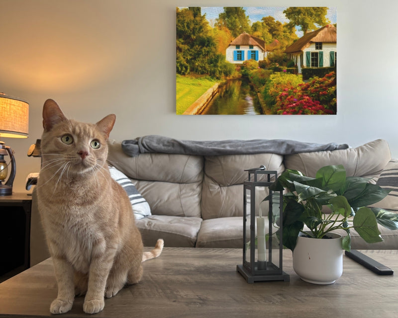 Dutch Canal Village — Giethoorn, Netherlands, view 2