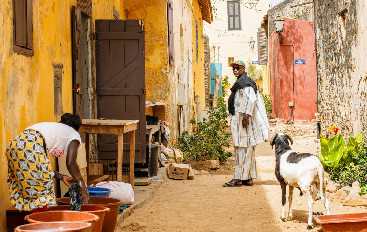 Archival study of Wolof cultural texture
