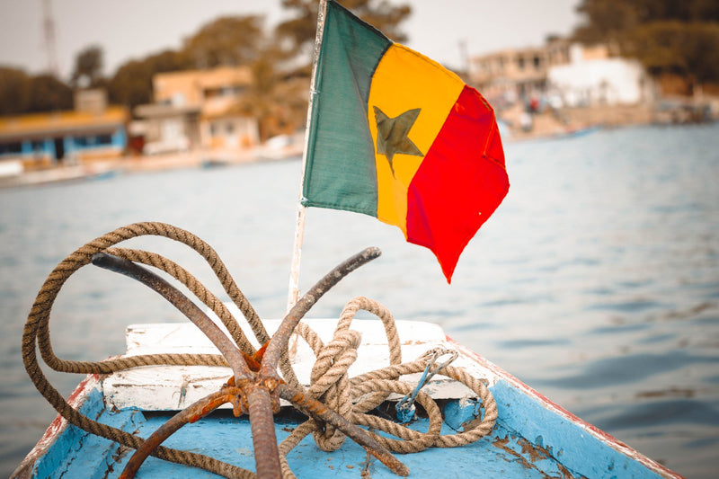 Goreé Island, Senegal study No. 03