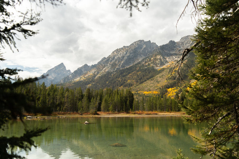 Grand Teton National Park, Wyoming visual study 02