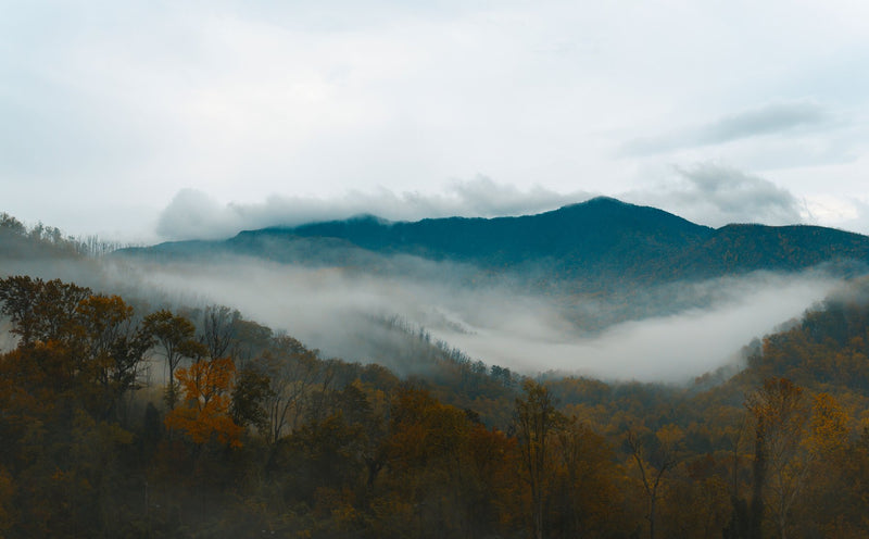 Great Smoky Mountains, Tennessee study No. 01
