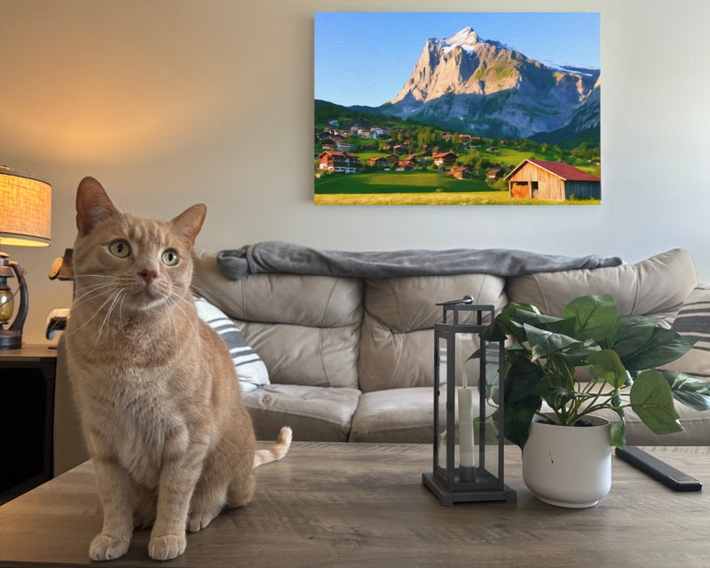 Grindelwald Alpine Village Wetterhorn — Grindelwald, Switzerland, view 2