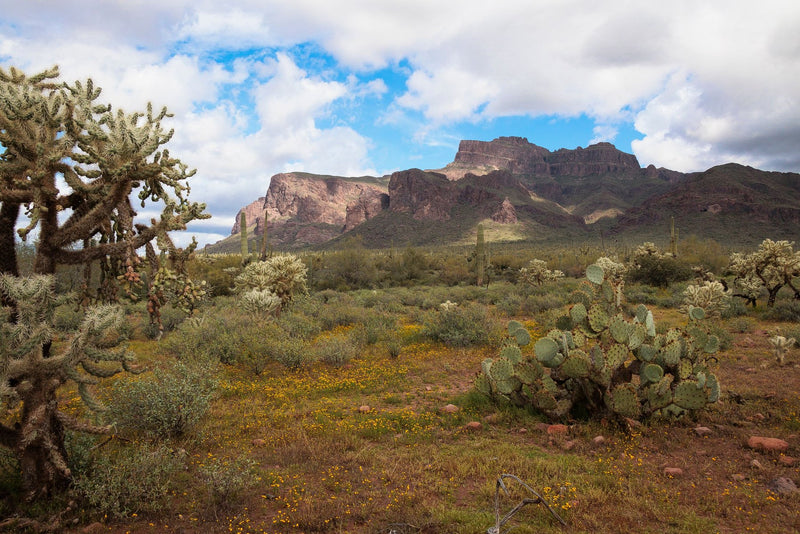 Guadalupe Mountains, Texas visual study 03