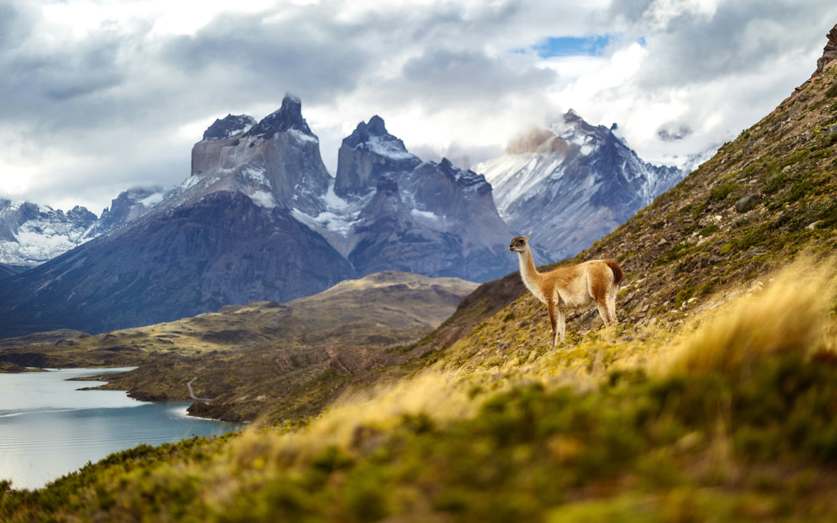Torres del Paine, Chile study No. 02