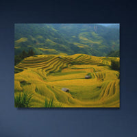 Golden Rice Terrace Fields — close-up thumbnail