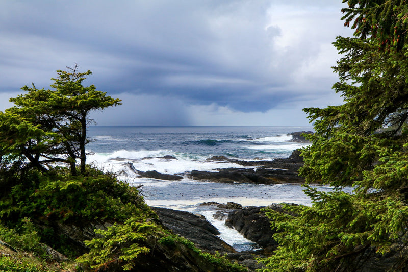 Haida Gwaii, British Columbia study No. 02