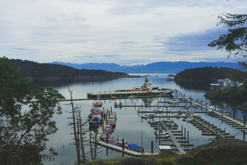 Haida Gwaii, British Columbia study No. 03