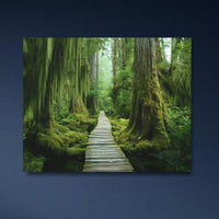 Haida Gwaii Rainforest Boardwalk — close-up thumbnail