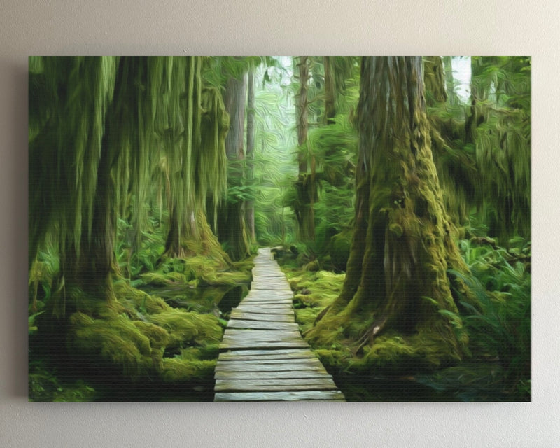 Haida Gwaii Rainforest Boardwalk — Haida Gwaii, British Columbia