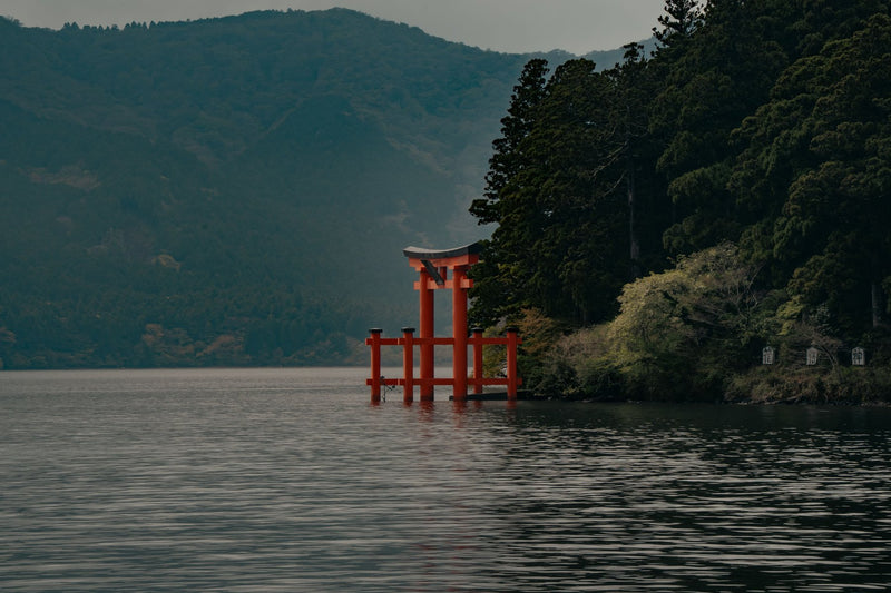 Hakone, Japan visual study 02