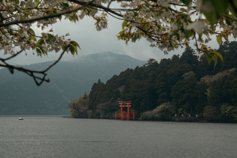 Hakone, Japan visual study 03
