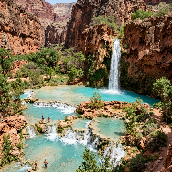 Botanical and pigment specimen study for Havasu Falls, Arizona
