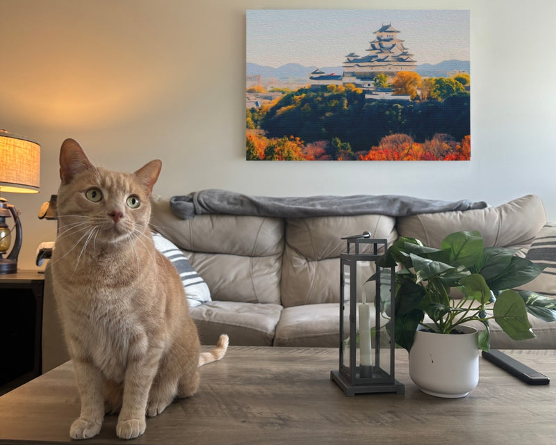 Himeji Castle Autumn View — Himeji, Japan, view 2