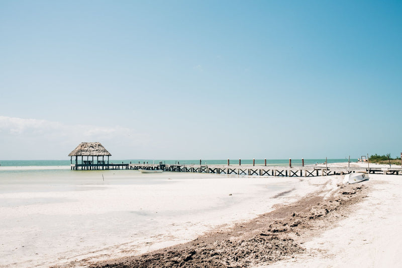Holbox Island, Mexico study No. 01