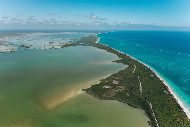 Holbox Island, Mexico study No. 03