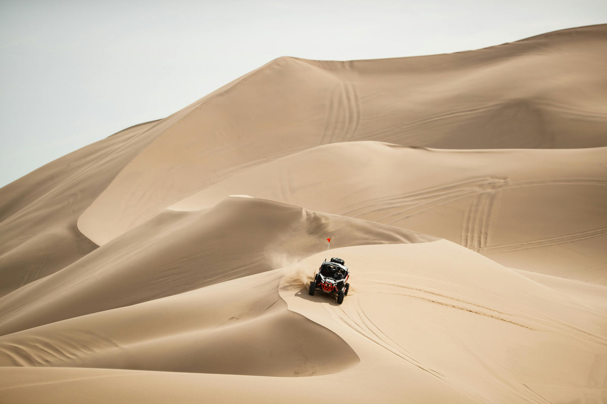 Huacachina, Peru study No. 01