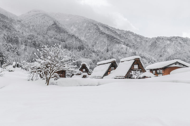 Shirakawa-go, Japan visual study 03