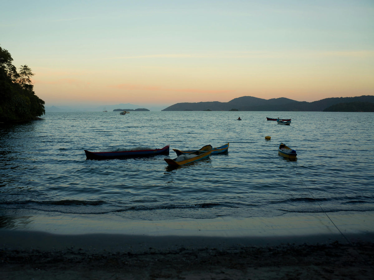 Ilha Grande, Brazil study No. 01