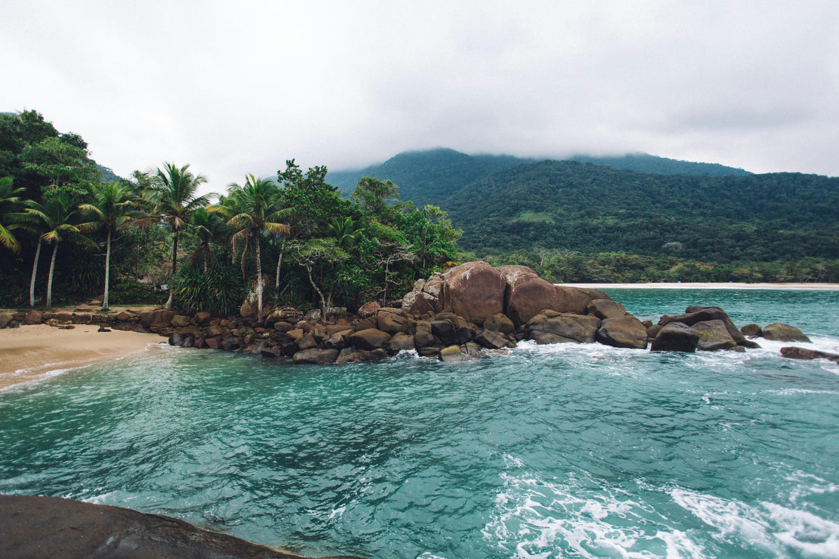 Ilha Grande, Brazil study No. 02