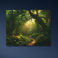 Ilha Grande Rainforest Trail — study 4 thumbnail