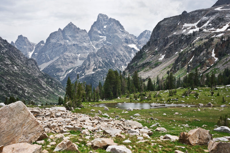 Jackson Hole, Wyoming visual study 03